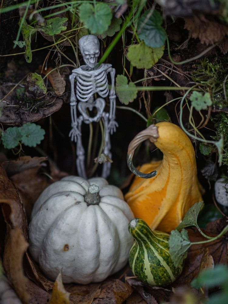 Photograph by Доляна Горохова