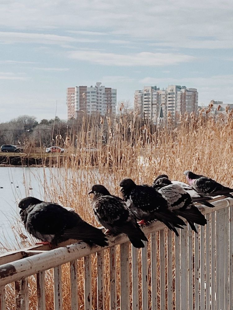 Photograph by Яна Сел