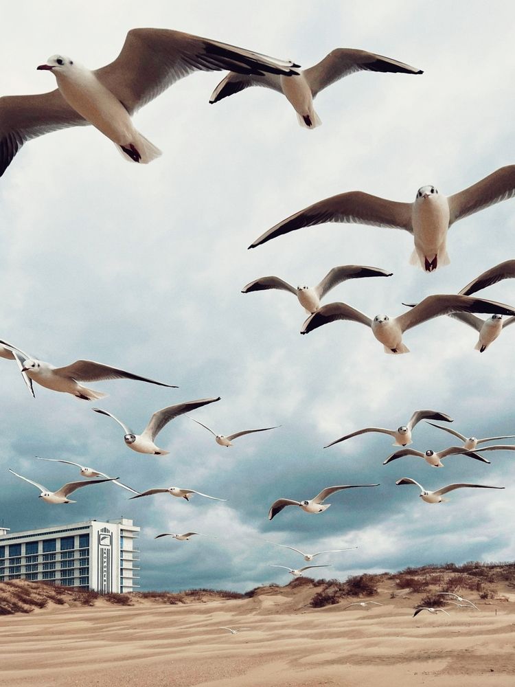 Photograph by Яна Сел