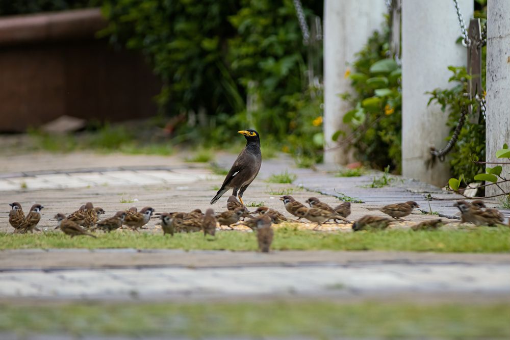 Photograph by Chau Nguyen