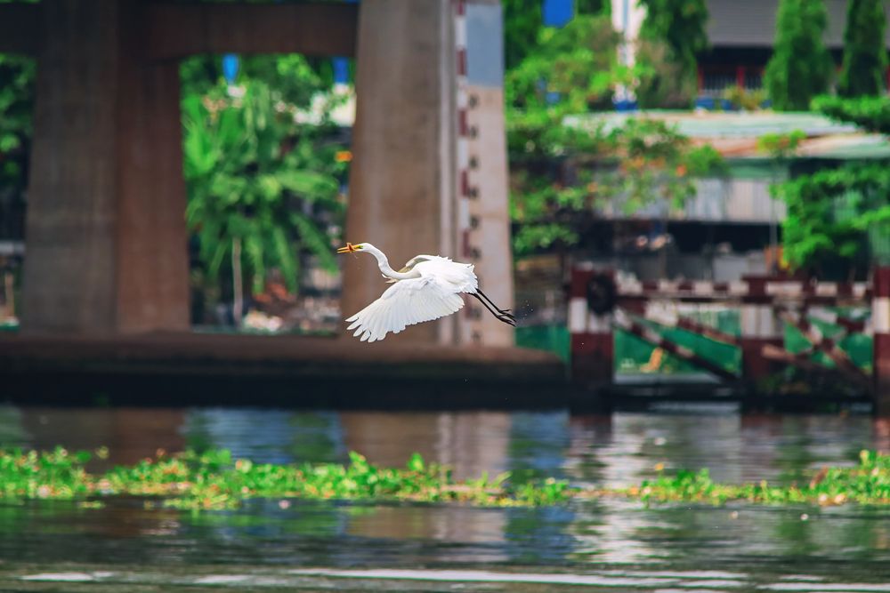 Photograph by Chau Nguyen