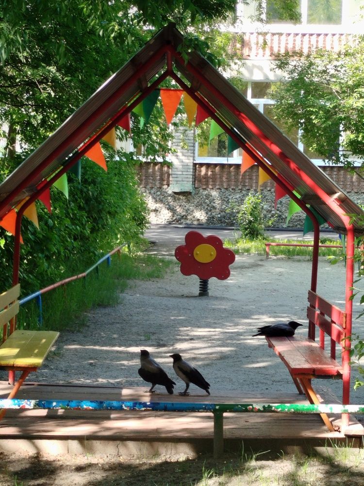 Photograph by Дубровина Марина