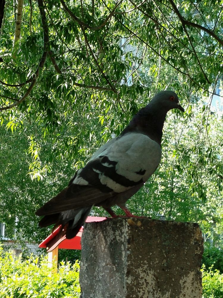 Photograph by Дубровина Марина
