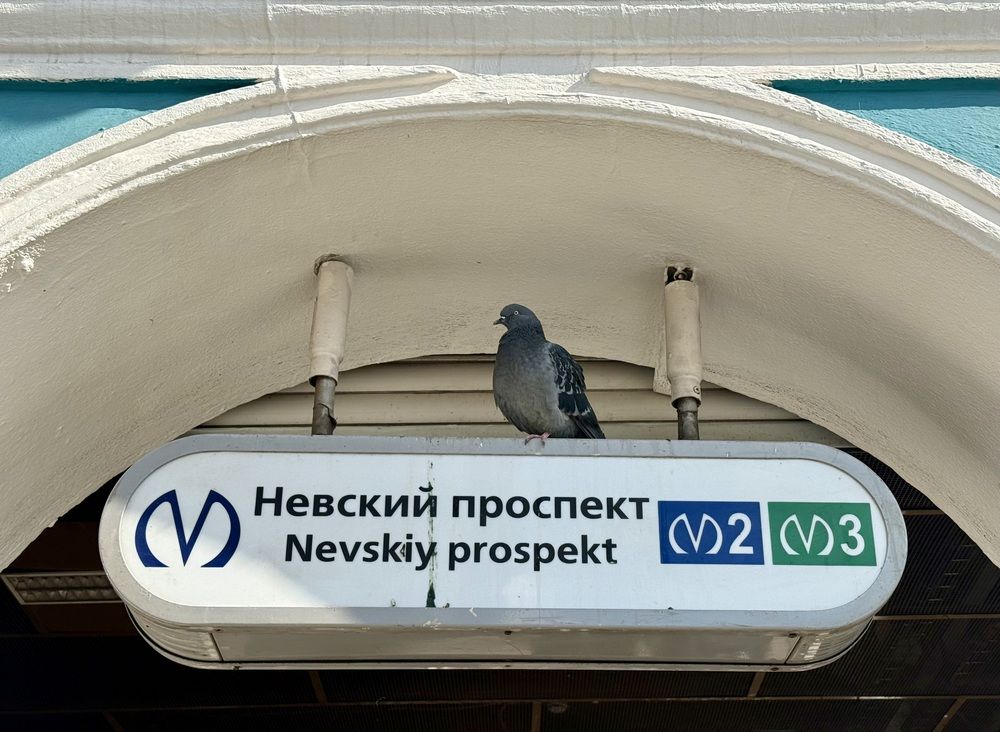 Photograph by Мария Якубовская