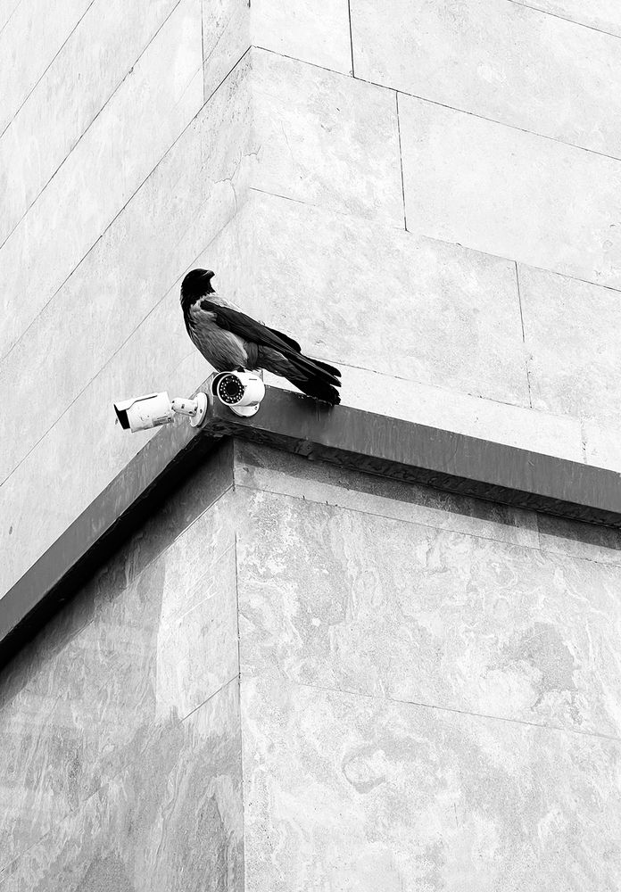 Photograph by Hamidreza zakeri