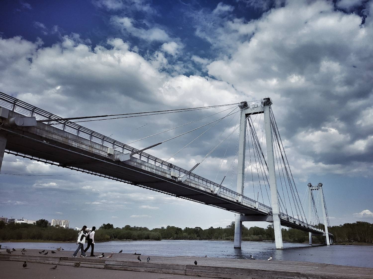 Виноградовский мост. Красноярск