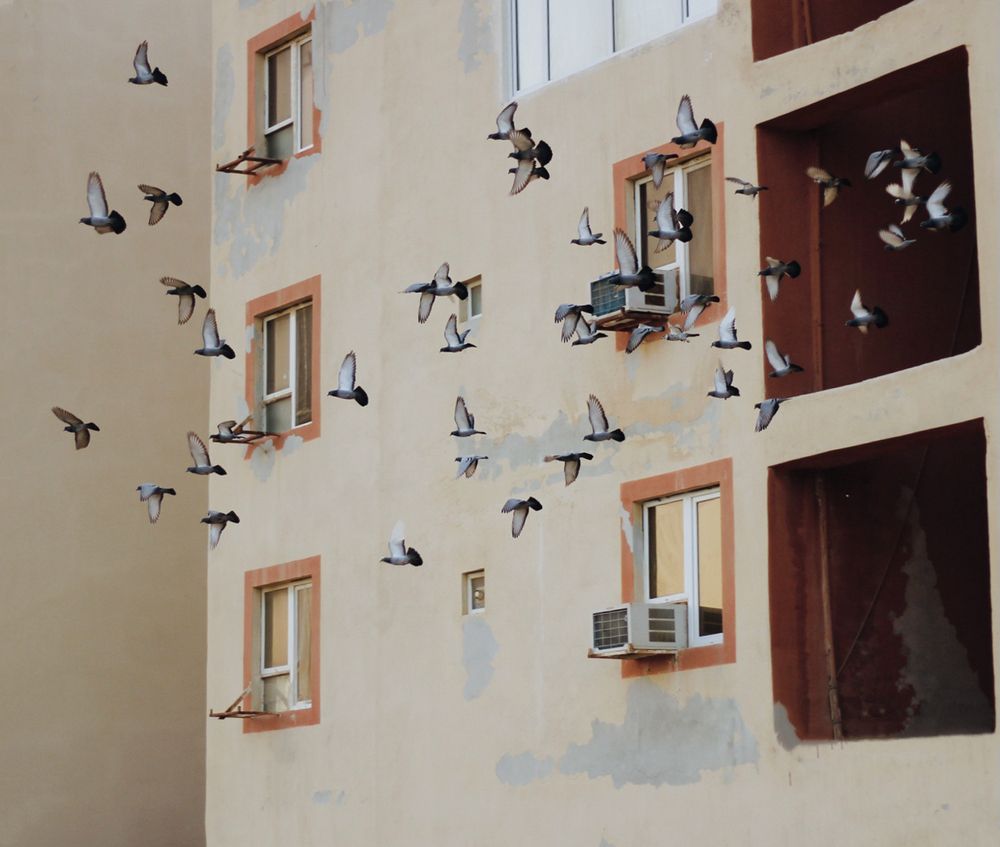 Photograph by Hamidreza zakeri