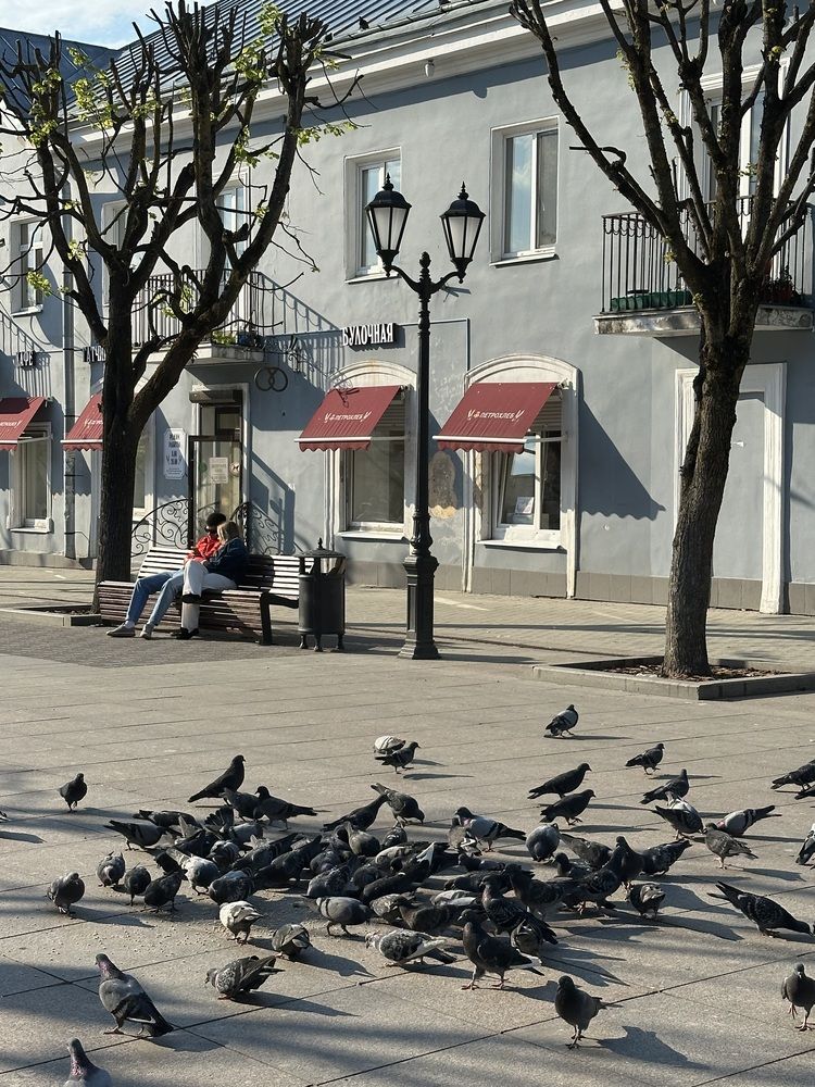 Photograph by Елена Безперстова