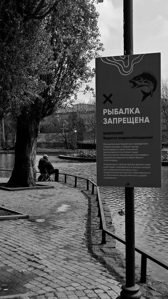 Photograph by Ruban Elena