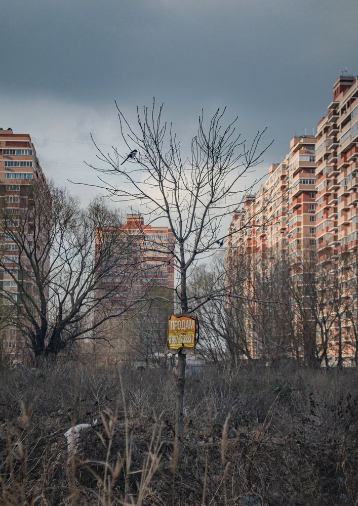 Photograph by Анна Орехова