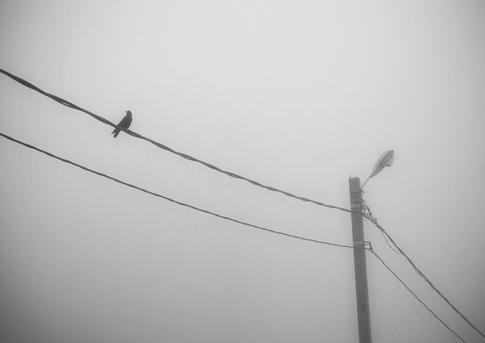 Photograph by Анна Орехова