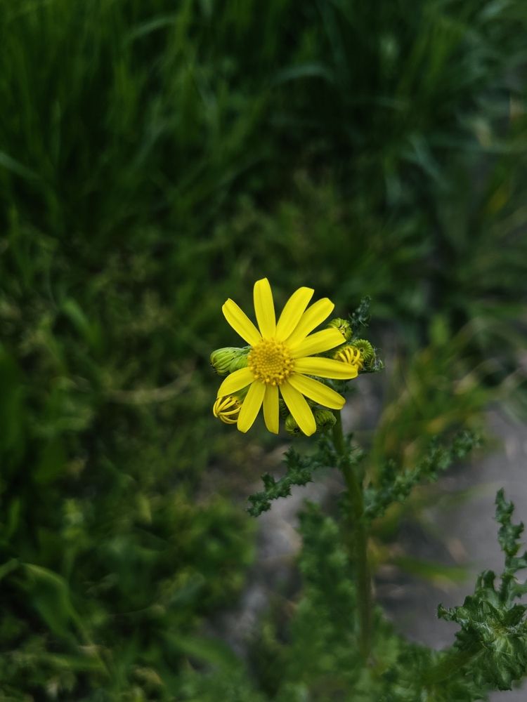 Photograph by Луиза Баширова