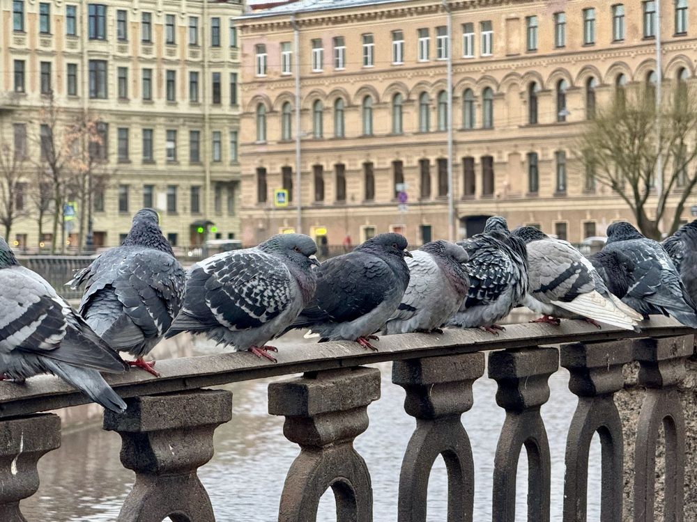Photograph by Мария Якубовская