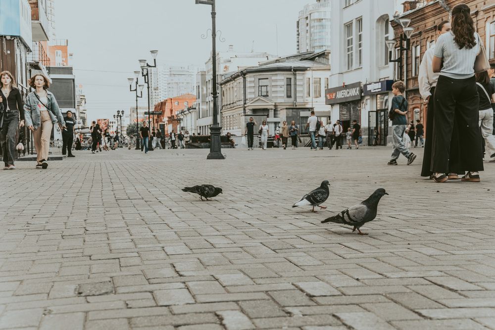 Photograph by Максим Фролов