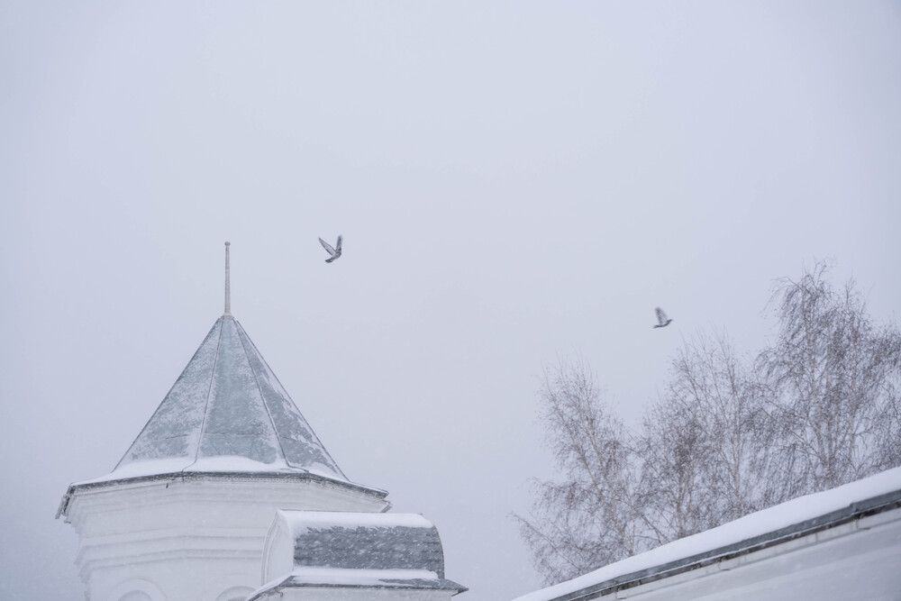 Photograph by Елена Николайчук