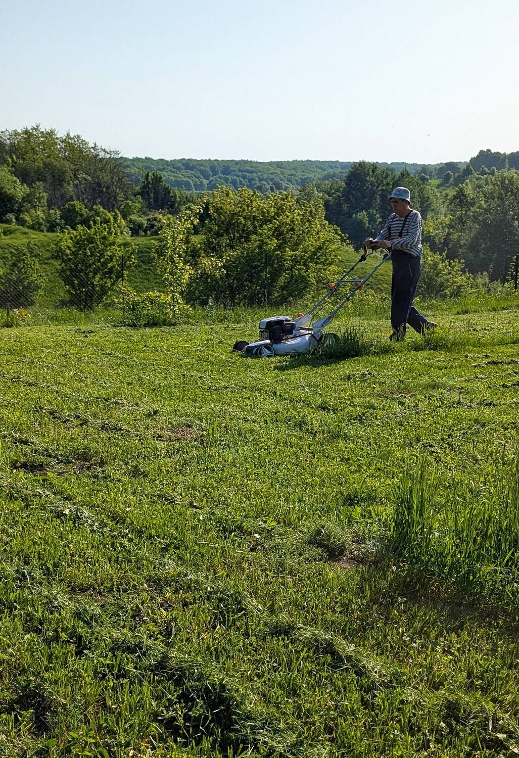 Photo #13692951