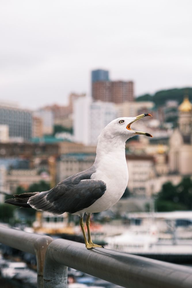 Photograph by Дмитрий Батенёв