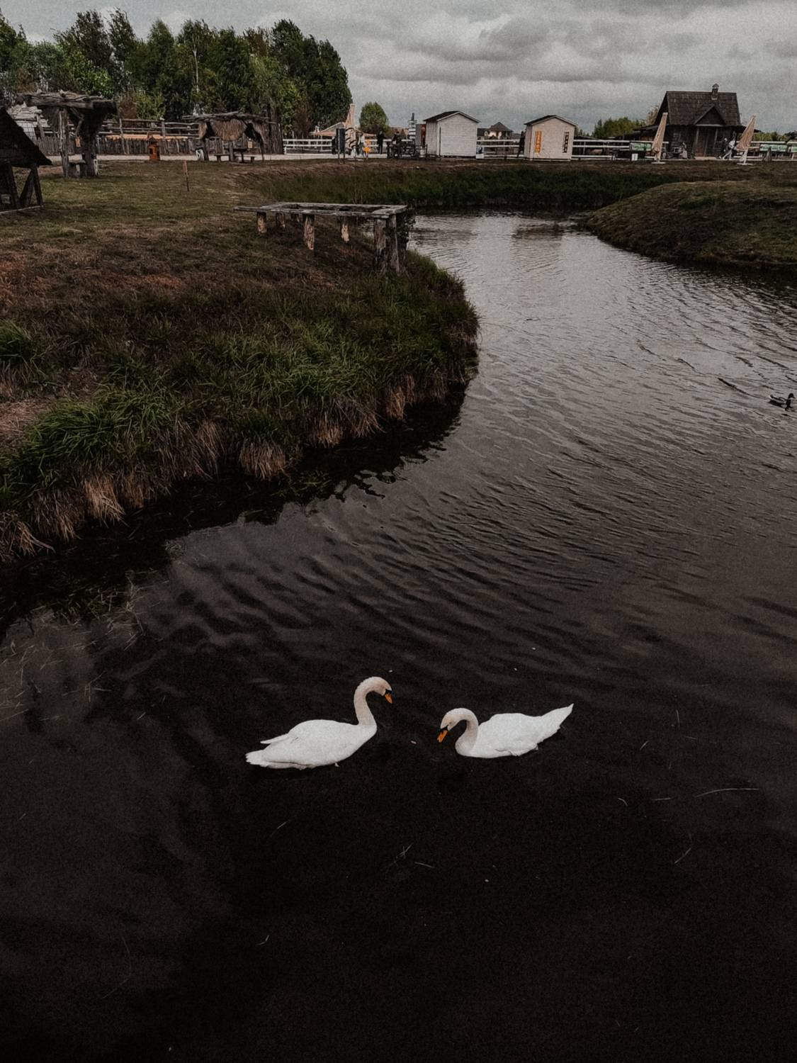 Photo #13693034