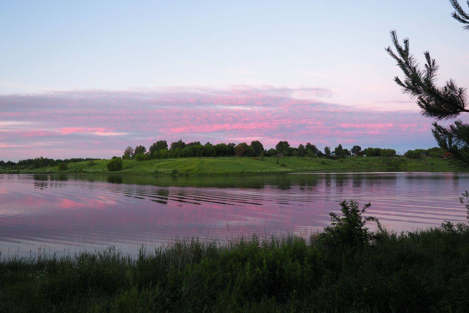 Photo #13693092
