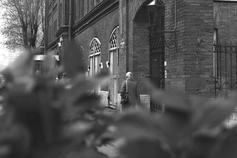 Photograph by Анастасия Туркина