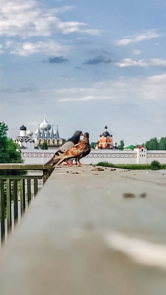 Фотография автора Людмила Сергеева