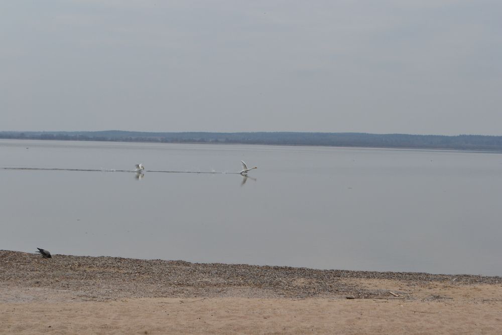 Photograph by Таня Климкович