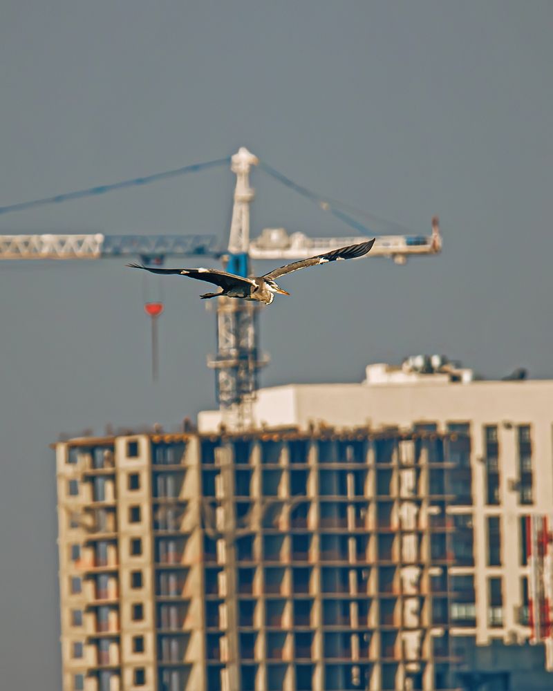 Photograph by Дмитрий Маккеев