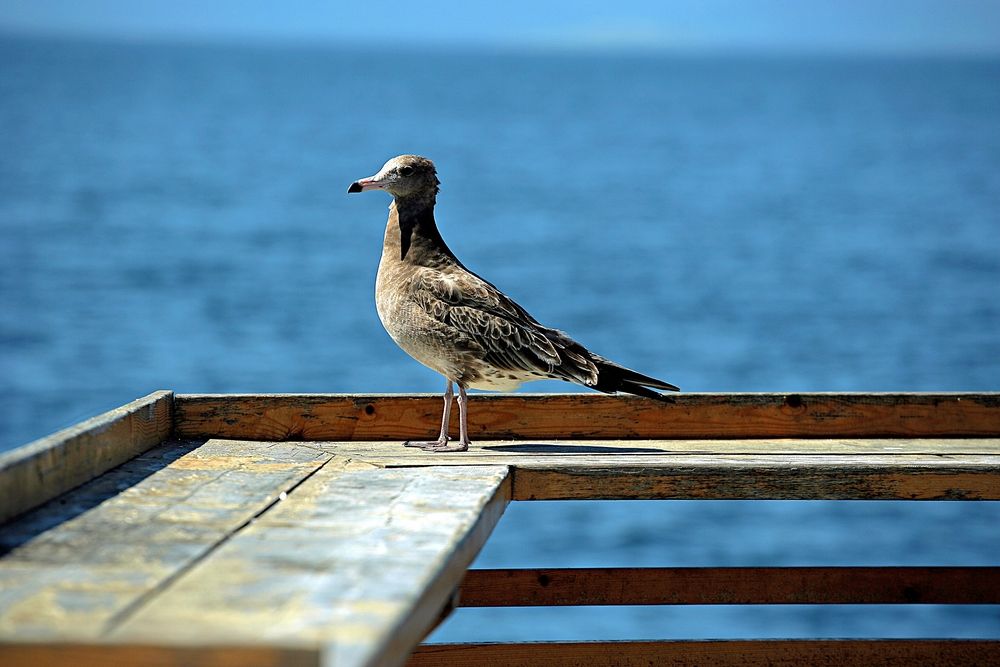Photograph by Олег