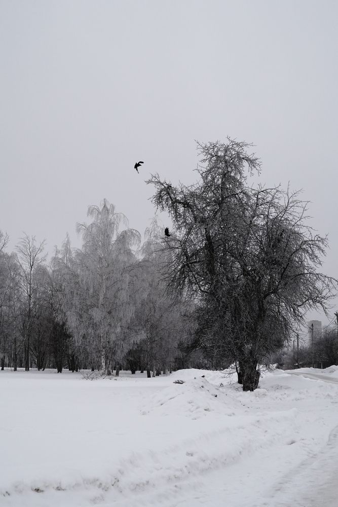 Photograph by Высоцкий Дмитрий