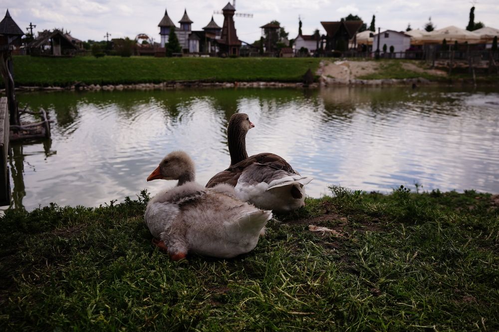 Photograph by Высоцкий Дмитрий