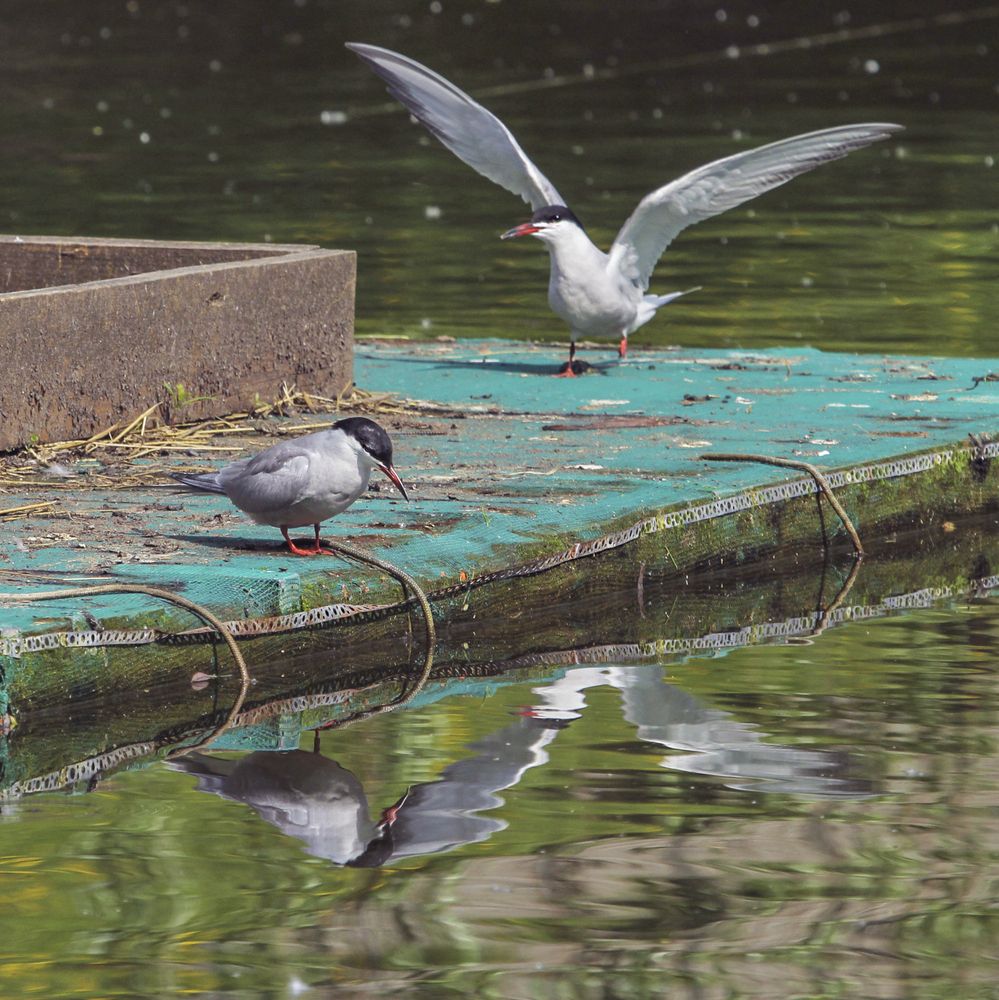Photograph by Ирина Владимировна Фурсова