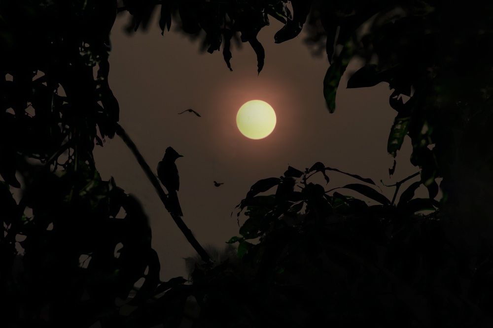 Photograph by Sanuthi Anuruddha