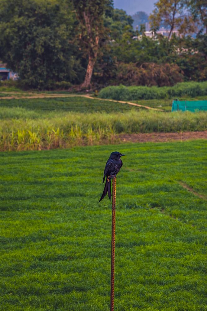 Photograph by RITIK RAJ