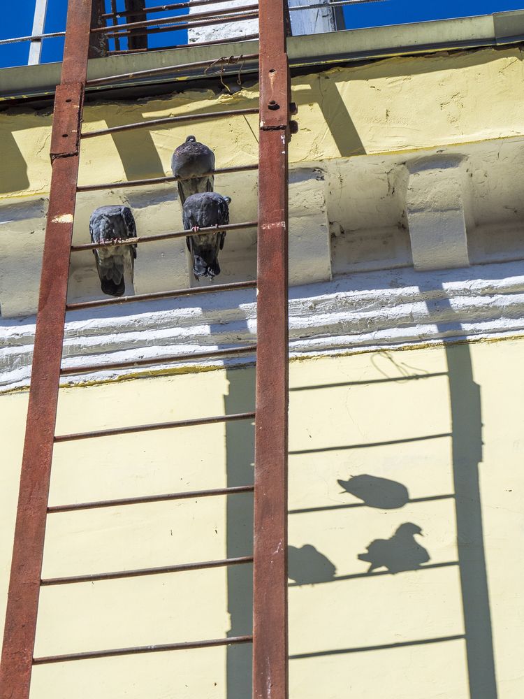 Photo #13693360