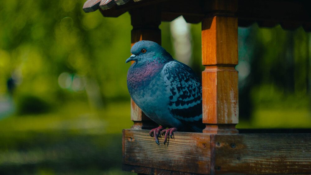 Photograph by Сергей Помелов