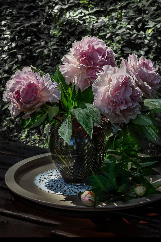 Photograph by марина леоненко