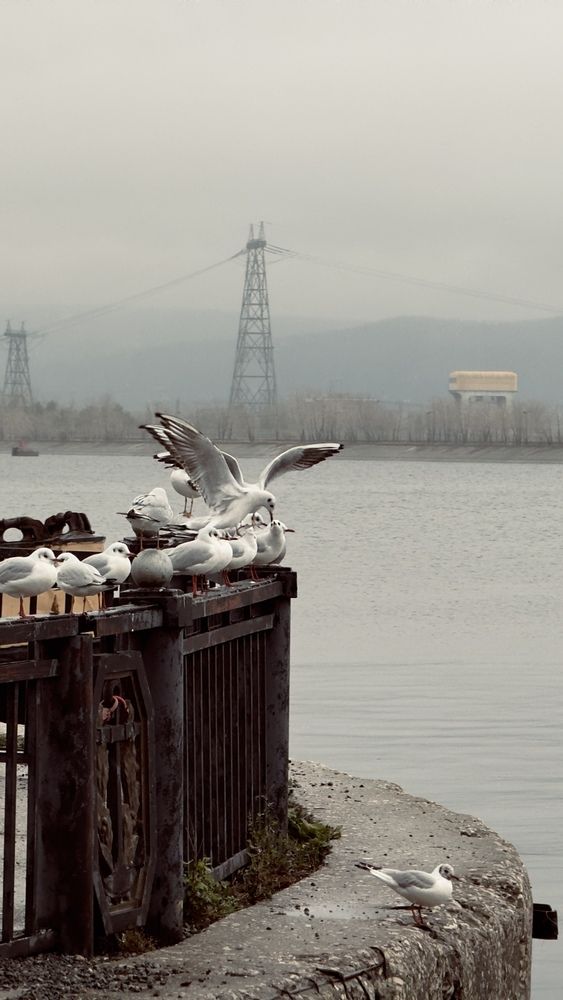 Photograph by Евгения Брагина