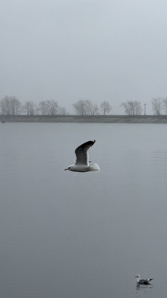 Photograph by Евгения Брагина