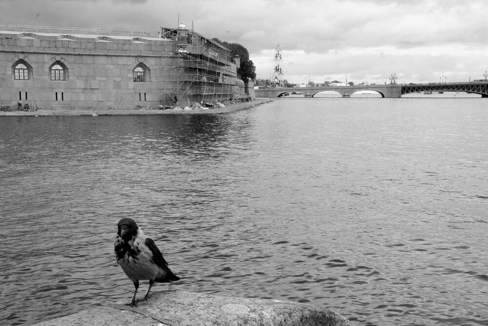 Photograph by Евгения Нестеренко