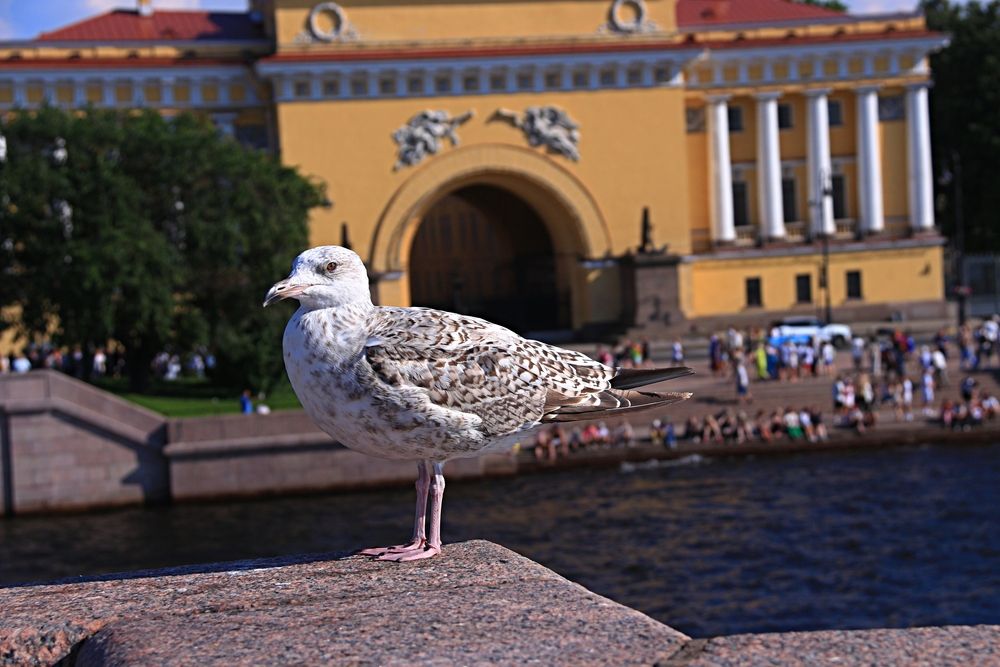Photograph by Эдуард Петруша