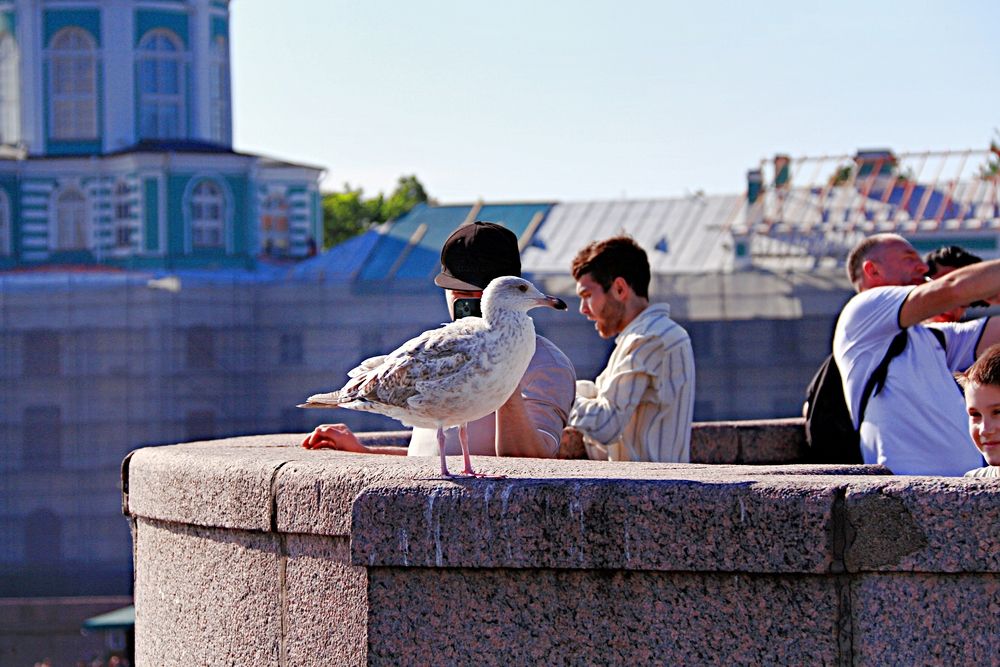 Photograph by Эдуард Петруша