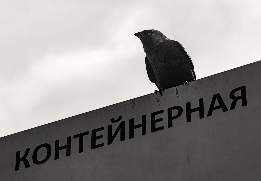 Нонтейнерная