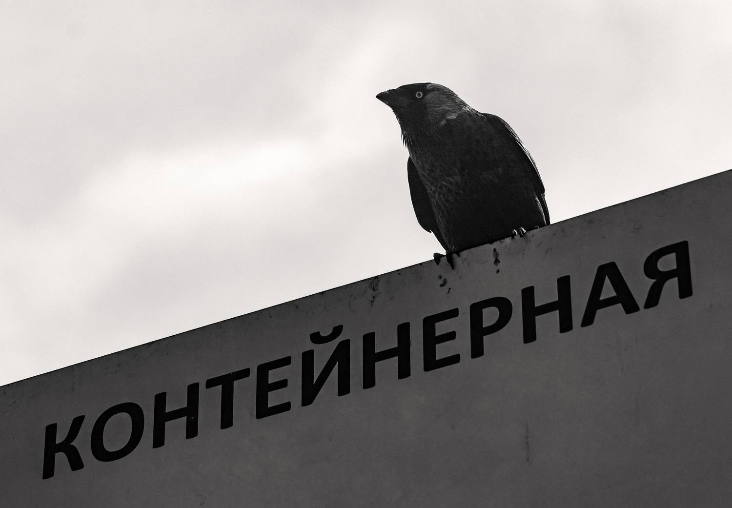 Нонтейнерная