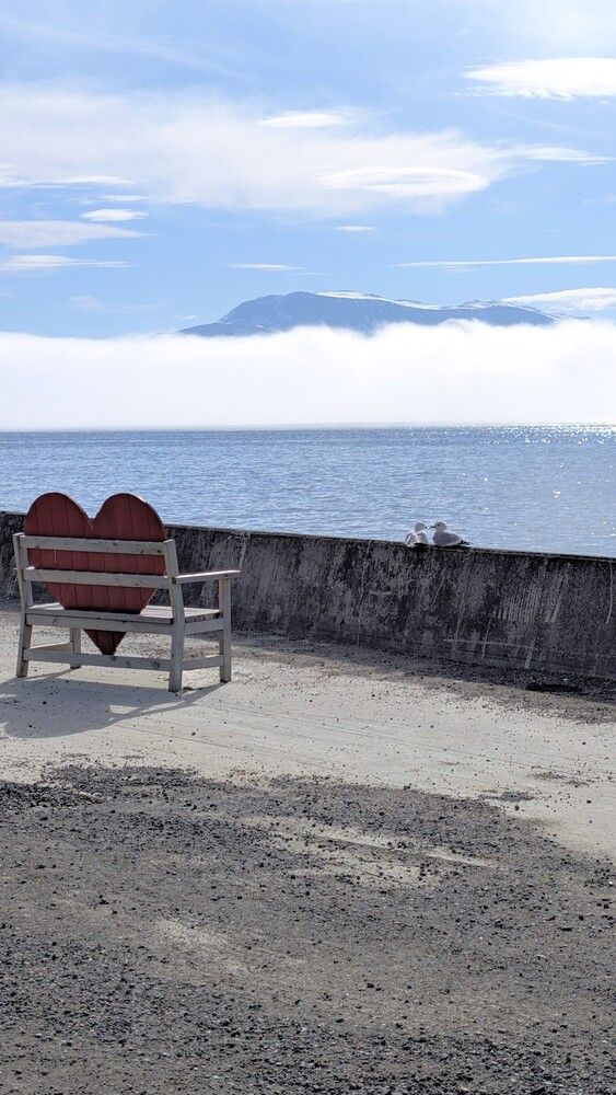 Photograph by Daria Chuiko