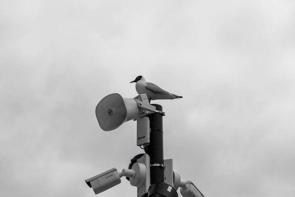 Photograph by Александр Юрьевич С