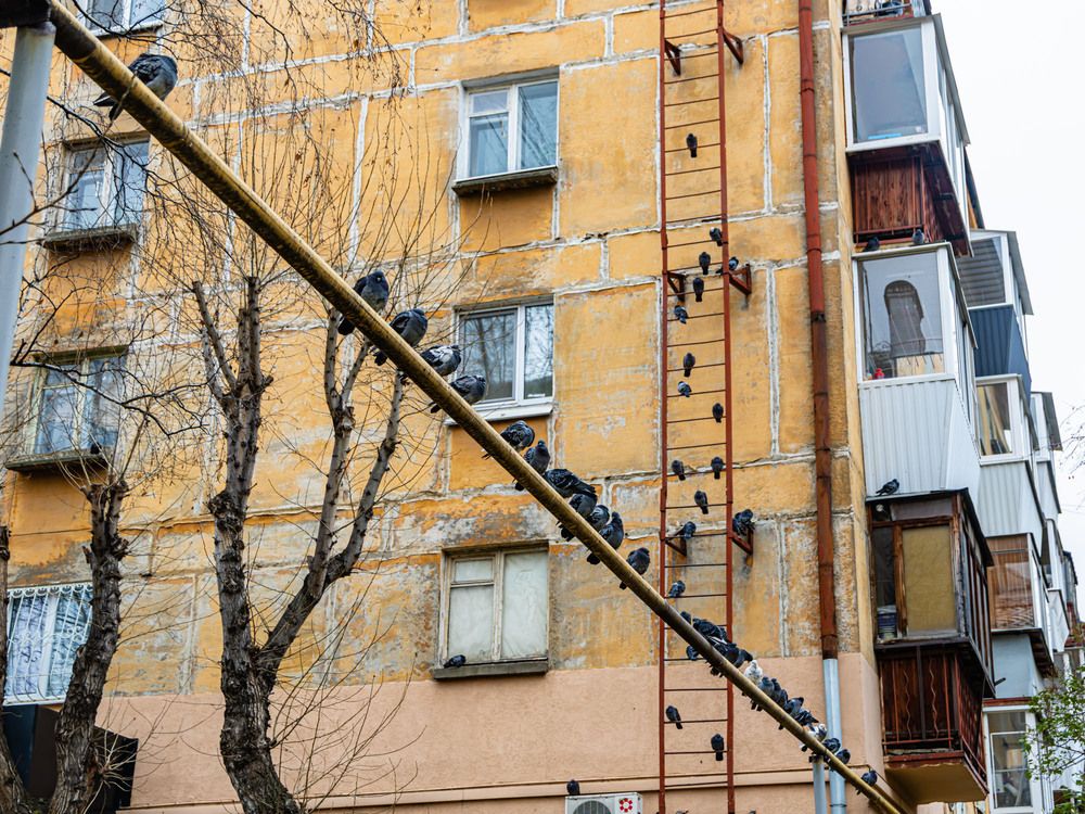 Photograph by Максим Фролов