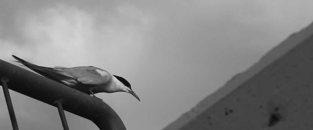 Photograph by Анатолий Капустин