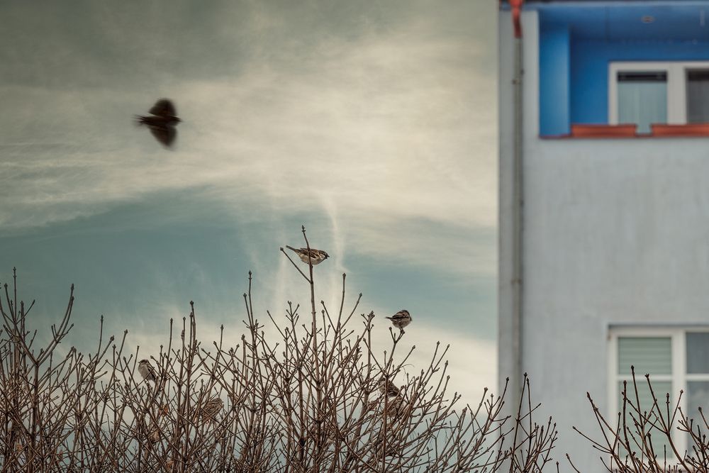Photograph by Kveta Novotna