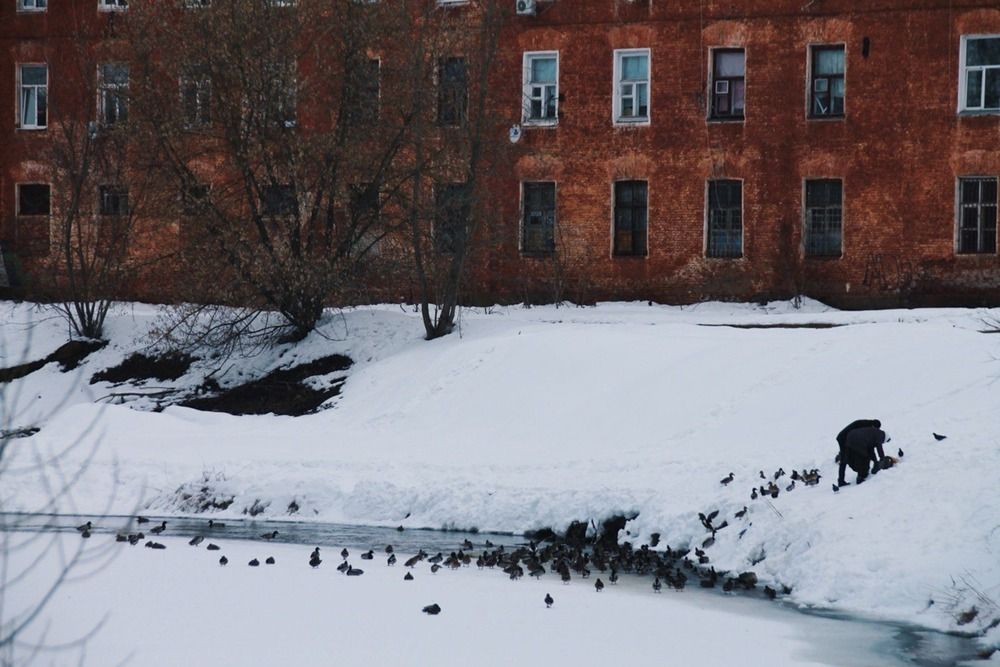 Photograph by Елена Эйнова