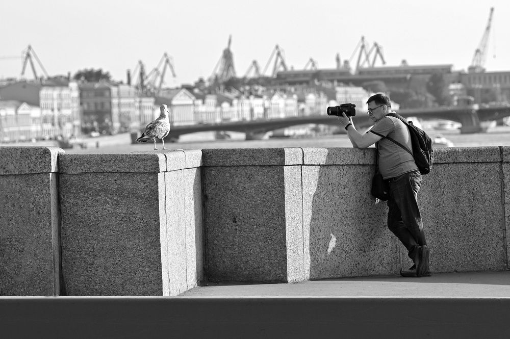 Photo #13693783
